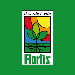 Flortis Flortis
